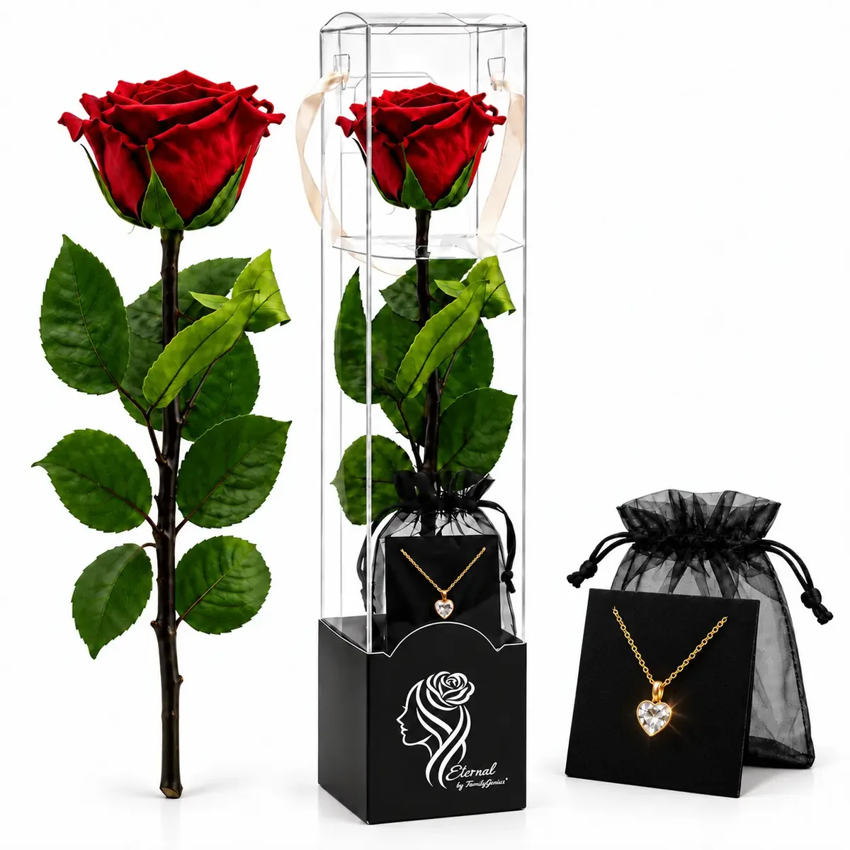 Rosa natural preservada roja con tallo en caja protectora, con collar de corazón y bolsa de organza